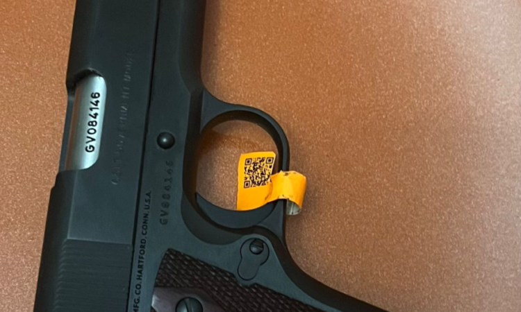 Satılık TABANCA – Colt Government – 45 ACP – Taşıma Ruhsatlı – Ankara – İlan 22607 – Görsel 22668