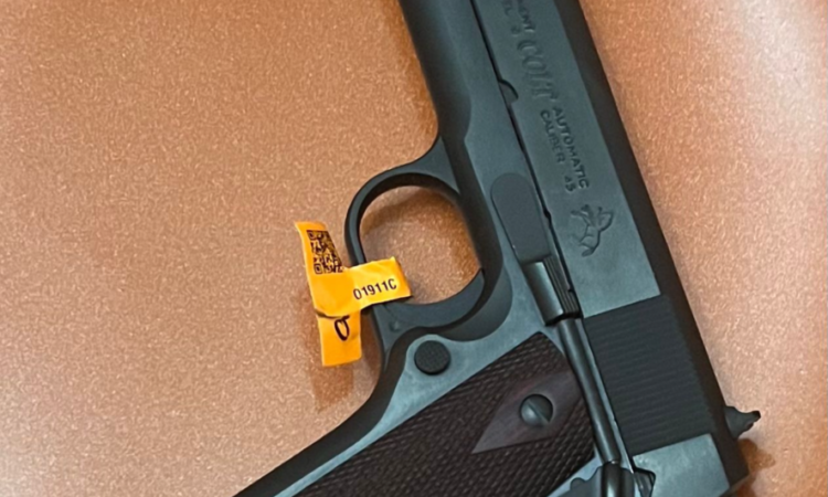 Satılık TABANCA – Colt Government – 45 ACP – Taşıma Ruhsatlı – Ankara – İlan 22607 – Görsel 22669