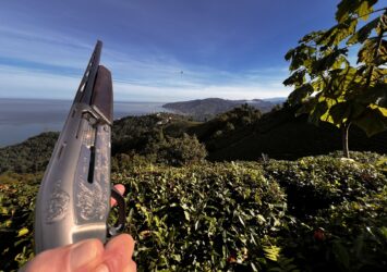 Satılık YİVSİZ TÜFEK – Browning Maxus – 12 Kalibre – Rize – İlan 19742 – Görsel 19744