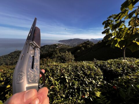 Satılık YİVSİZ TÜFEK – Browning Maxus – 12 Kalibre – Rize – İlan 19742 – Görsel 19744