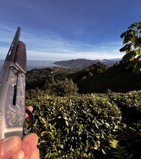 Satılık YİVSİZ TÜFEK – Browning Maxus – 12 Kalibre – Rize – İlan 19742 – Görsel 19744