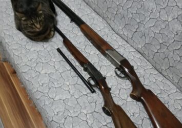 Satılık YİVSİZ TÜFEK – 20 Kalibre – Ankara – İlan 22662 – Görsel 22663