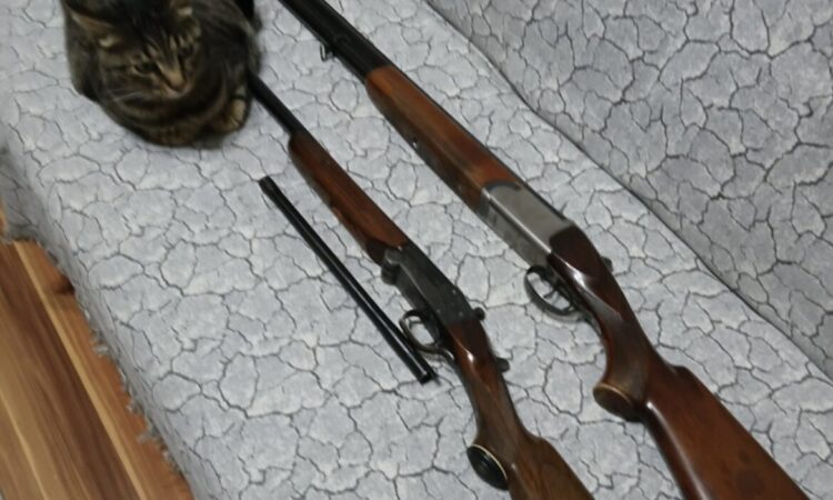 Satılık YİVSİZ TÜFEK – 20 Kalibre – Ankara – İlan 22662 – Görsel 22663