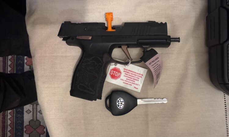 Satılık TABANCA – Sig Sauer P365 – 9mm (9x19mm) – Bulundurma Ruhsatlı – Ankara – İlan 21849 – Görsel 21855