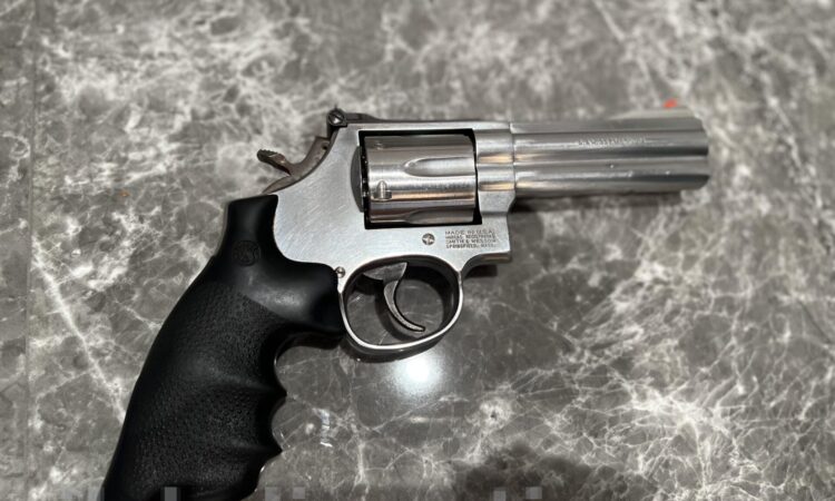 Satılık TABANCA – Smith & Wesson Model 686 – 357 Magnum – Bulundurma Ruhsatlı – İstanbul – İlan 23015 – Görsel 23016