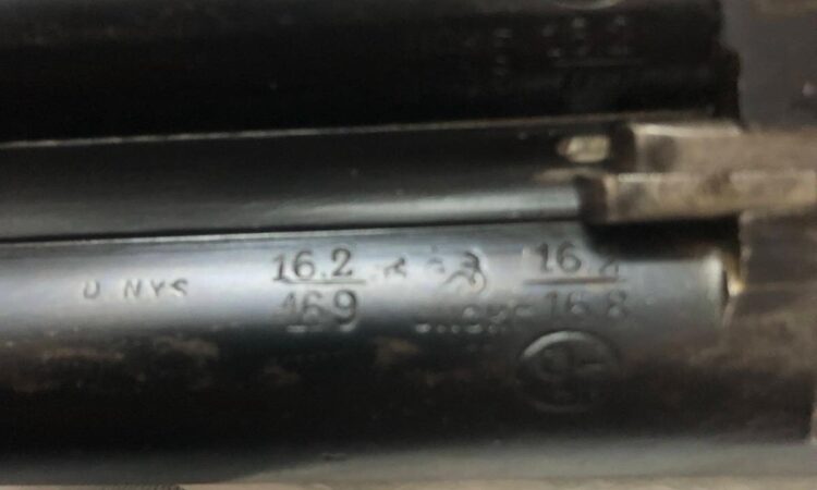 Satılık YİVSİZ TÜFEK – 16 Kalibre – Sakarya – İlan 20840 – Görsel 20845