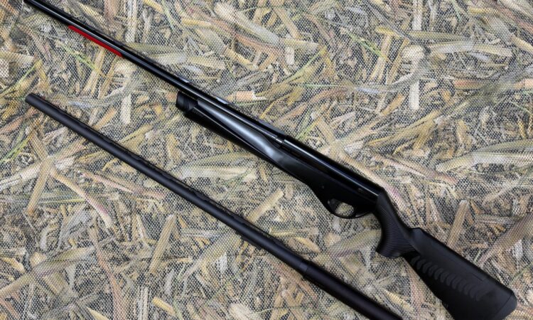 Satılık YİVSİZ TÜFEK – Benelli Vinci – 12 Kalibre – Antalya – İlan 21709 – Görsel 21713