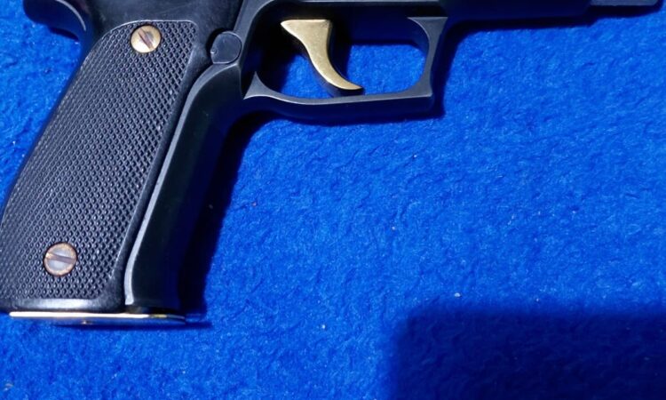 Satılık TABANCA – Sig Sauer P226 – 9mm (9x19mm) – Bulundurma Ruhsatlı – Muğla – İlan 23516 – Görsel 23596