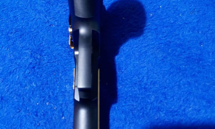 Satılık TABANCA – Sig Sauer P226 – 9mm (9x19mm) – Bulundurma Ruhsatlı – Muğla – İlan 23516 – Görsel 23598