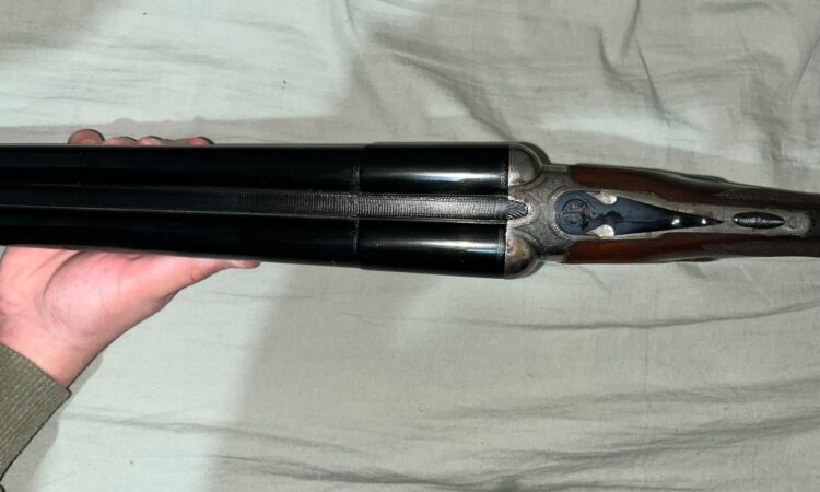 Satılık YİVSİZ TÜFEK – Robust 208 – 12 Kalibre – Samsun – İlan 23808 – Görsel 23811