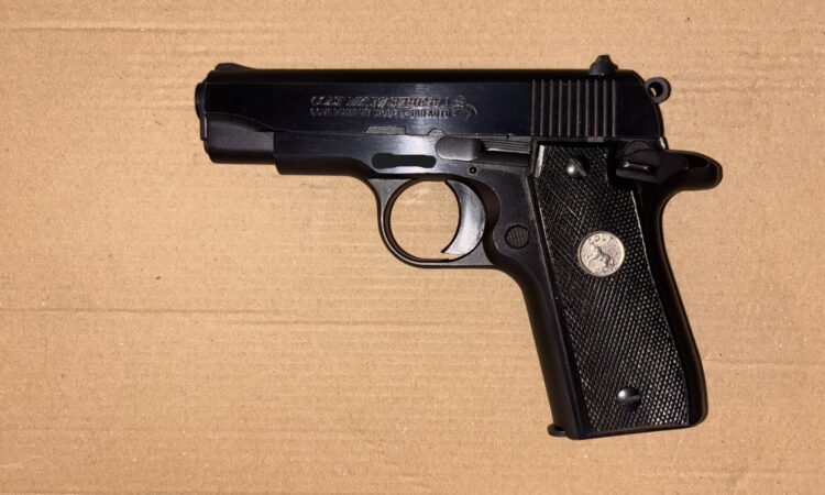 Satılık TABANCA – Colt Government – 380 Auto (Kısa 9) – Taşıma Ruhsatlı – İstanbul – İlan 26547 – Görsel 26549
