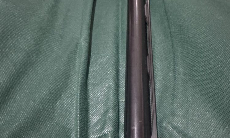 Satılık YİVSİZ TÜFEK – Fabarm Ellegi – 12 Kalibre – İzmir – İlan 25407 – Görsel 25412