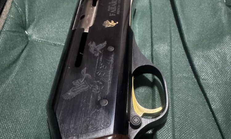 Satılık YİVSİZ TÜFEK – Fabarm Ellegi – 12 Kalibre – İzmir – İlan 25407 – Görsel 25408