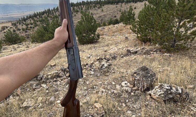 Satılık YİVSİZ TÜFEK – Amasya – İlan 25836 – Görsel 25837