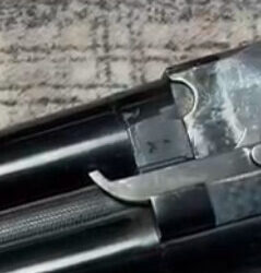 Satılık YİVSİZ TÜFEK – Beretta S56 – 12 Kalibre – Kocaeli – İlan 24353 – Görsel 24354