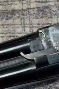 Satılık YİVSİZ TÜFEK – Beretta S56 – 12 Kalibre – Kocaeli – İlan 24353 – Görsel 24354