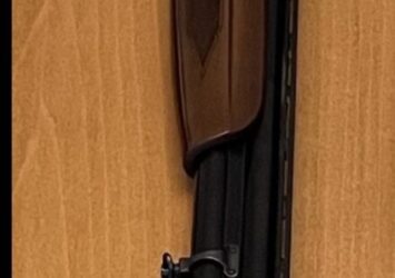 Satılık YİVSİZ TÜFEK – Çifsan ÇSP 555 – 12 Kalibre – Sakarya – İlan 25901 – Görsel 25902