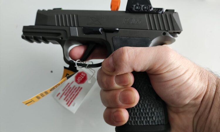 Satılık TABANCA – Sig Sauer P365 – 9mm (9x19mm) – Taşıma Ruhsatlı – Ankara – İlan 24705 – Görsel 24711