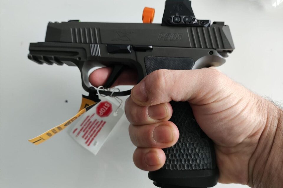 Satılık TABANCA – Sig Sauer P365 – 9mm (9x19mm) – Taşıma Ruhsatlı – Ankara – İlan 24705 – Görsel 24711