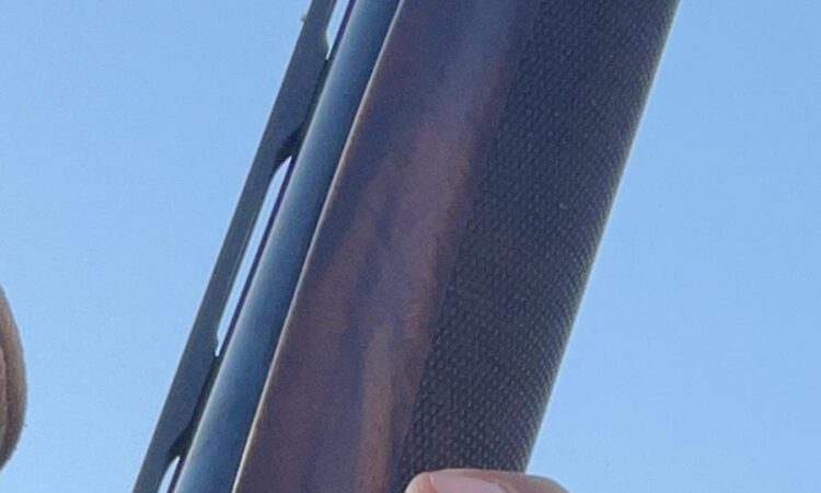 Satılık YİVSİZ TÜFEK – Benelli Raffaello – 20 Kalibre – Diyarbakır – İlan 23861 – Görsel 23862