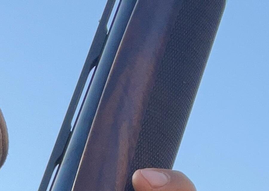 Satılık YİVSİZ TÜFEK – Benelli Raffaello – 20 Kalibre – Diyarbakır – İlan 23861 – Görsel 23862