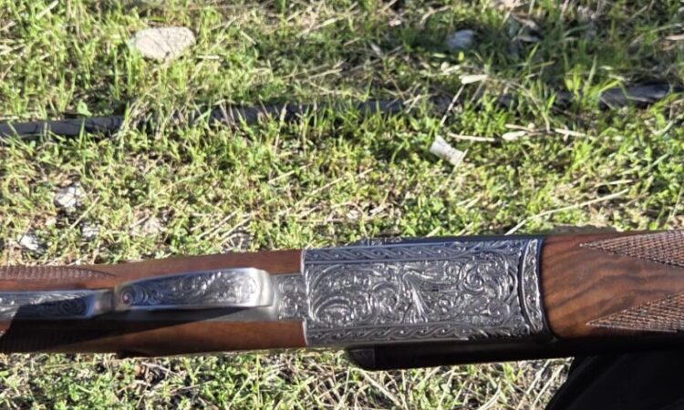 Satılık YİVSİZ TÜFEK – Akus Estate Lux (Çifte) – 12 Kalibre – Antalya – İlan 27318 – Görsel 27321