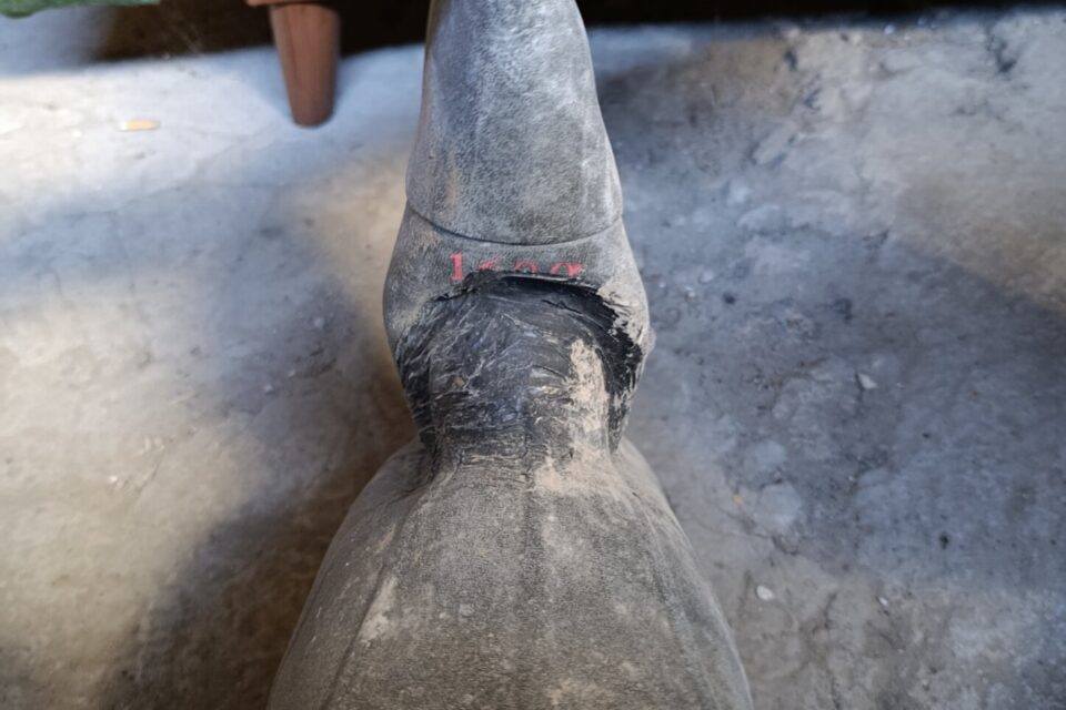 Satılık ÜRÜN – Tekirdağ – İlan 28058 – Görsel 28059