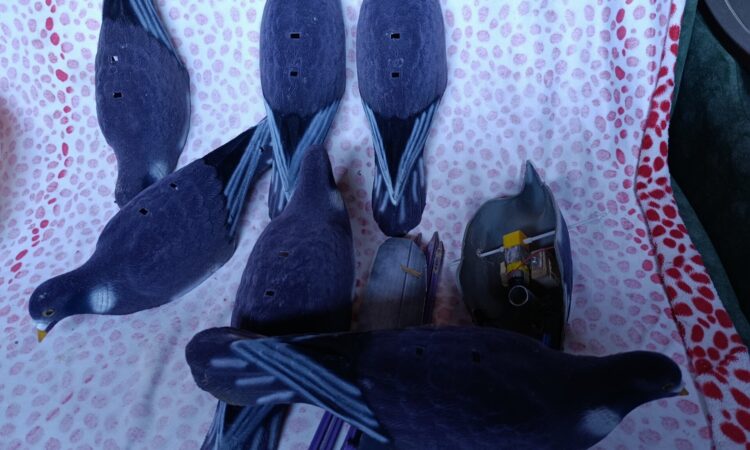 Satılık ÜRÜN – Tekirdağ – İlan 27139 – Görsel 27141