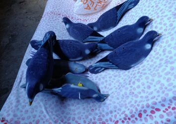 Satılık ÜRÜN – Tekirdağ – İlan 27139 – Görsel 27140