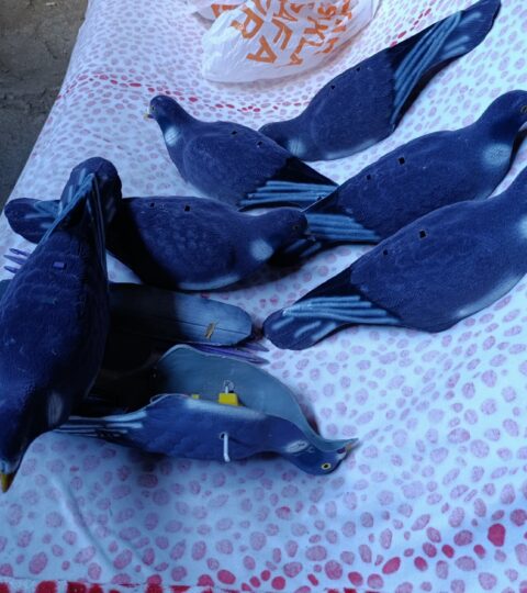 Satılık ÜRÜN – Tekirdağ – İlan 27139 – Görsel 27140