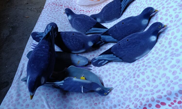 Satılık ÜRÜN – Tekirdağ – İlan 27139 – Görsel 27140