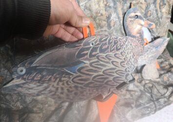 Satılık ÜRÜN – Tekirdağ – İlan 27130 – Görsel 27131