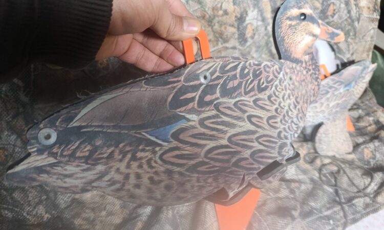 Satılık ÜRÜN – Tekirdağ – İlan 27130 – Görsel 27131