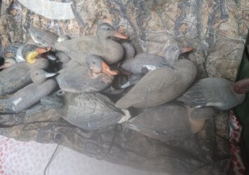 Satılık ÜRÜN – Tekirdağ – İlan 27113 – Görsel 27115