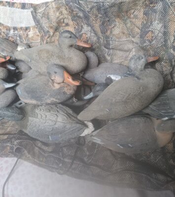 Satılık ÜRÜN – Tekirdağ – İlan 27113 – Görsel 27115