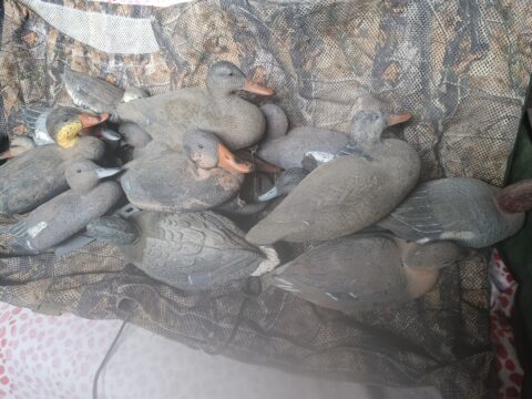 Satılık ÜRÜN – Tekirdağ – İlan 27113 – Görsel 27115