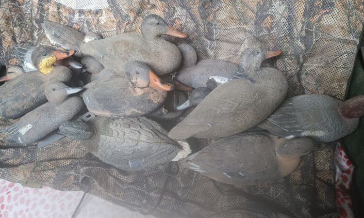 Satılık ÜRÜN – Tekirdağ – İlan 27113 – Görsel 27115