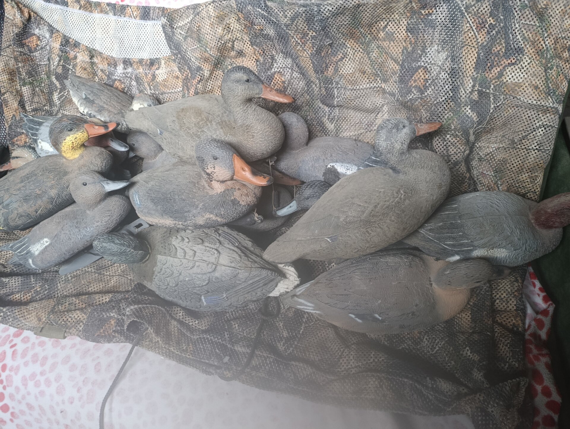 Satılık ÜRÜN – Tekirdağ – İlan 27113 – Görsel 27115