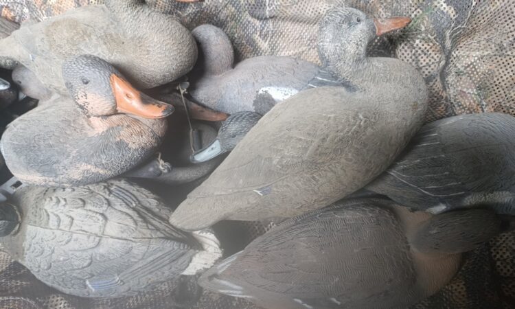 Satılık ÜRÜN – Tekirdağ – İlan 27113 – Görsel 27114