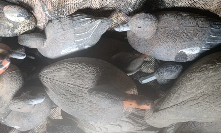 Satılık ÜRÜN – Tekirdağ – İlan 27113 – Görsel 27117