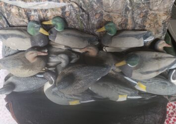 Satılık ÜRÜN – Tekirdağ – İlan 28051 – Görsel 28053