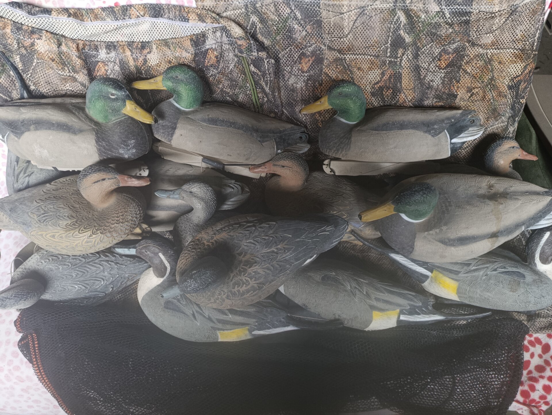 Satılık ÜRÜN – Tekirdağ – İlan 28051 – Görsel 28053