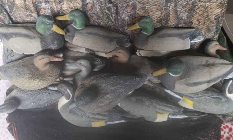 Satılık ÜRÜN – Tekirdağ – İlan 27113 – Görsel 27119