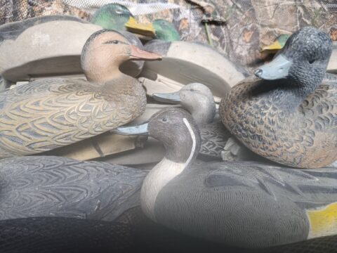 Satılık ÜRÜN – Tekirdağ – İlan 28051 – Görsel 28054