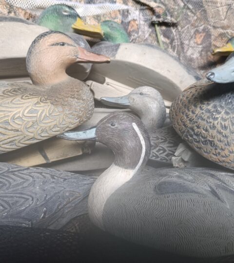 Satılık ÜRÜN – Tekirdağ – İlan 28051 – Görsel 28054