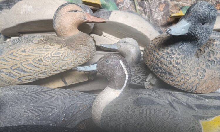 Satılık ÜRÜN – Tekirdağ – İlan 28051 – Görsel 28054