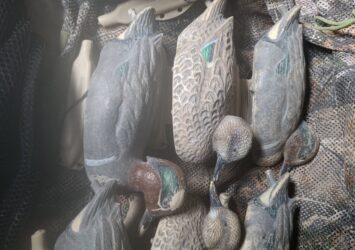 Satılık ÜRÜN – Tekirdağ – İlan 28062 – Görsel 28064