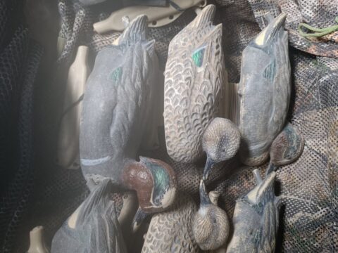 Satılık ÜRÜN – Tekirdağ – İlan 28062 – Görsel 28064