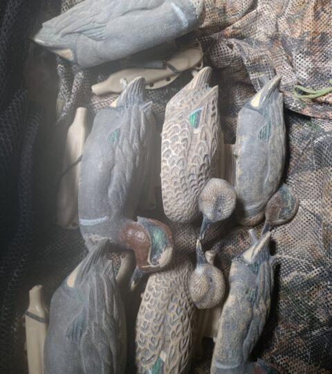 Satılık ÜRÜN – Tekirdağ – İlan 28062 – Görsel 28064