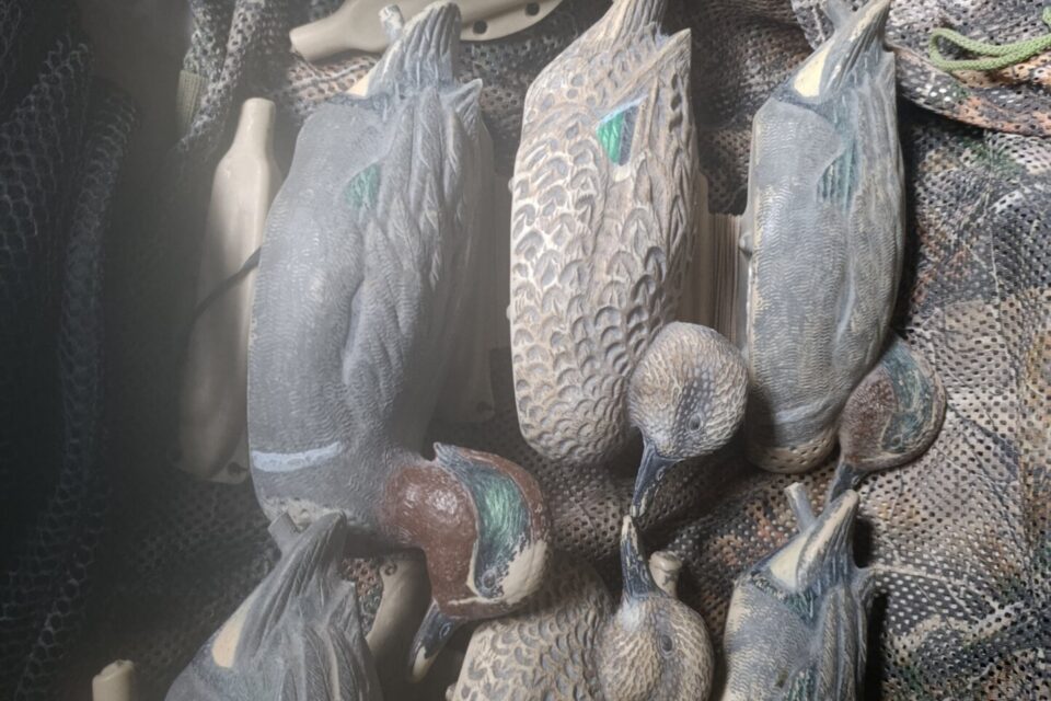 Satılık ÜRÜN – Tekirdağ – İlan 28062 – Görsel 28064
